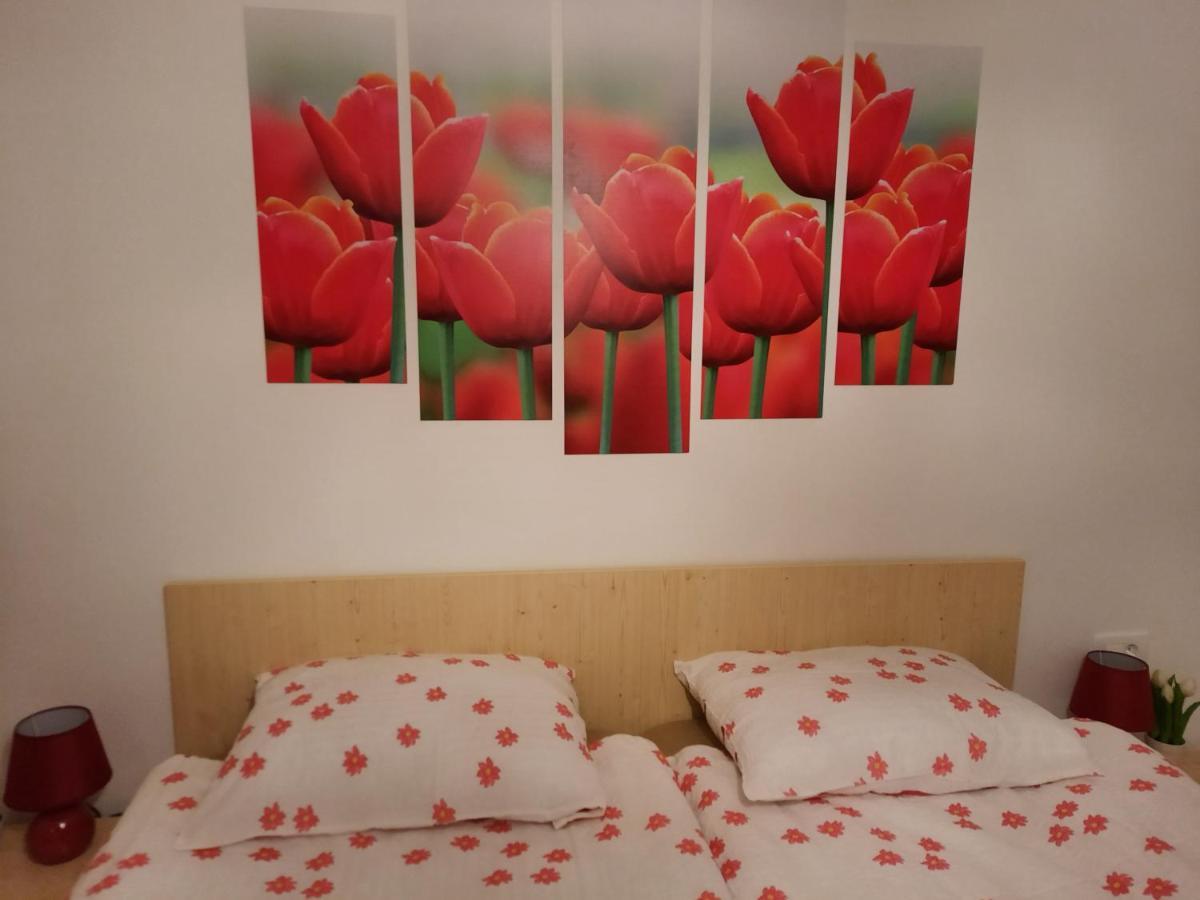 Apartma Rozle Mojstrana Ngoại thất bức ảnh